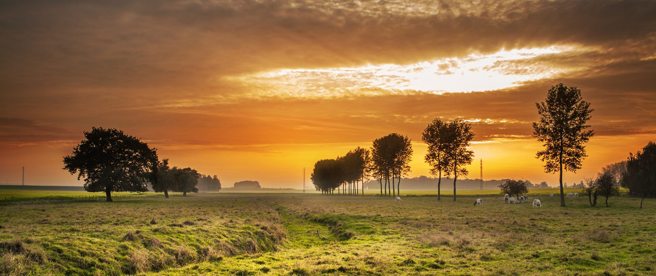 骚扰电话呼叫软件
