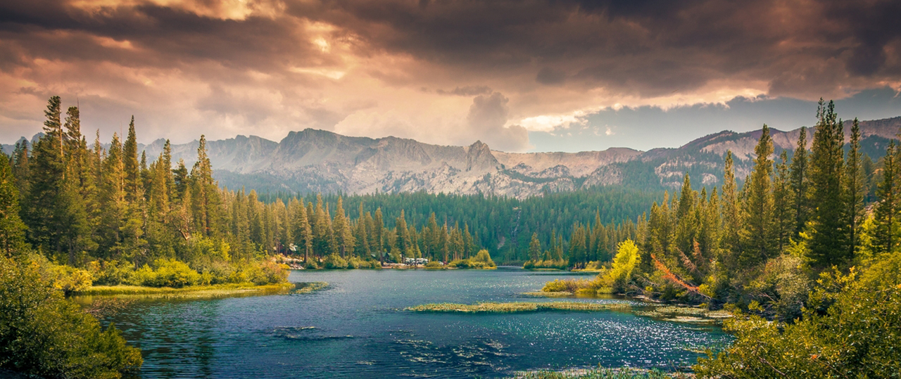网页版手机号攻击