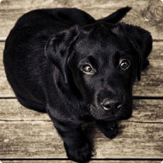 无限轰炸手机号码软件