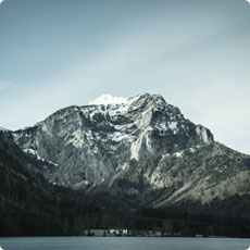 网页版手机号攻击