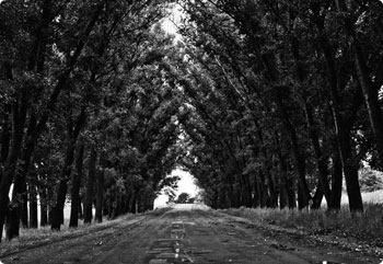 无限轰炸手机号码软件